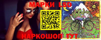 шишки Канаш