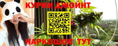 сатива Камышлов
