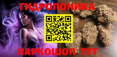 шишки Канаш