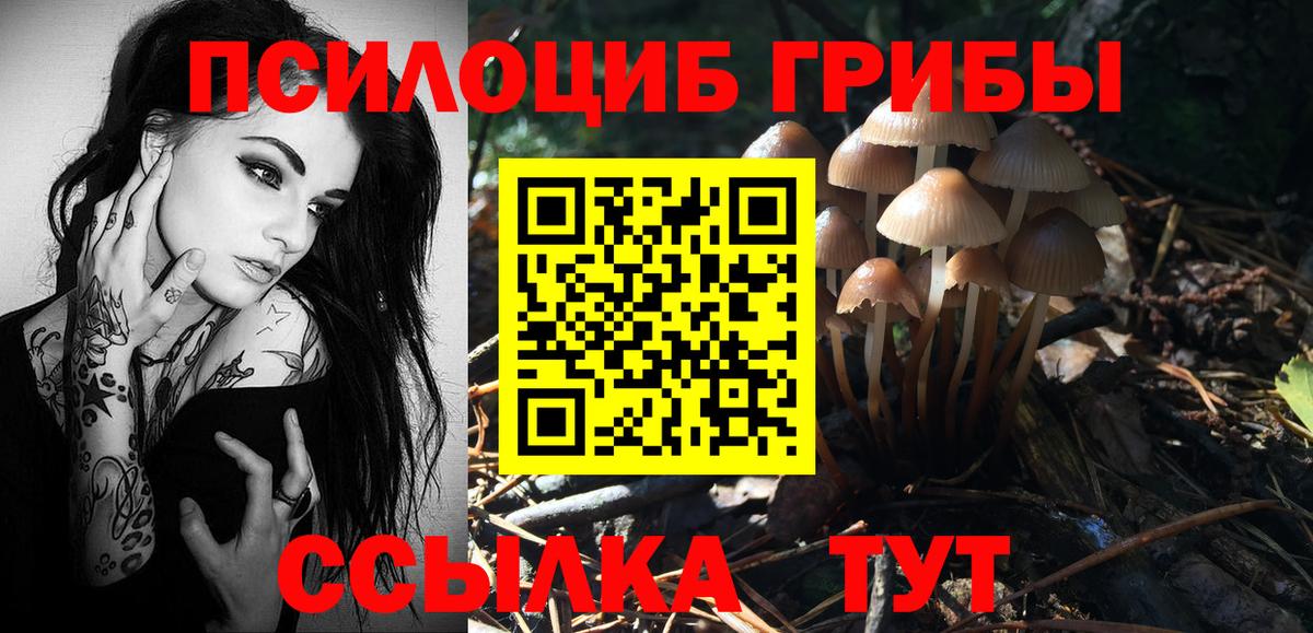 Галлюциногенные грибы Cubensis Кудымкар