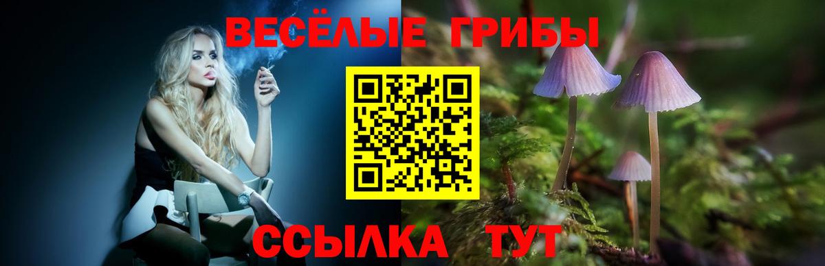 Псилоцибиновые грибы Psilocybine cubensis  Вход с VPN  Кудымкар 